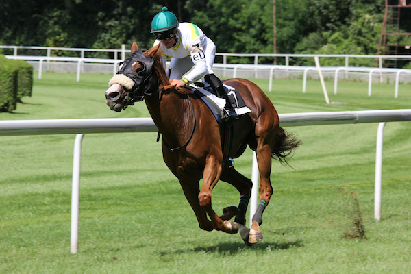 A jockey wearing a white jersey and pants with a green riding helmet and black boots. He's riding a chestnut-colored racehorse around a grass horse track.